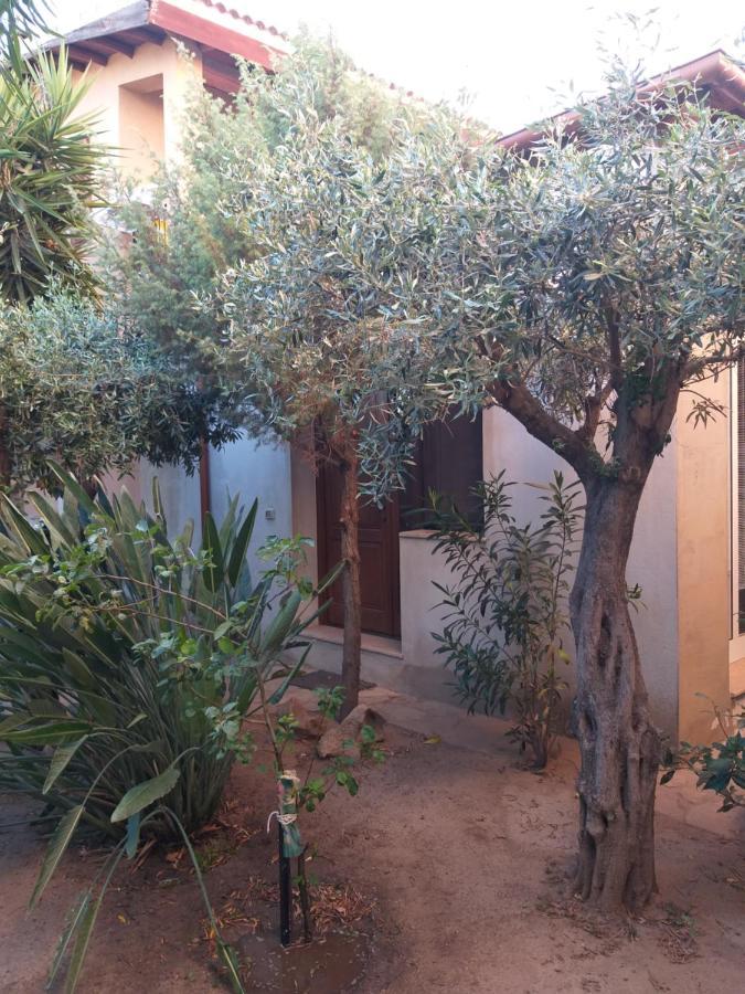 אולביה I Ginepri Guest House מראה חיצוני תמונה