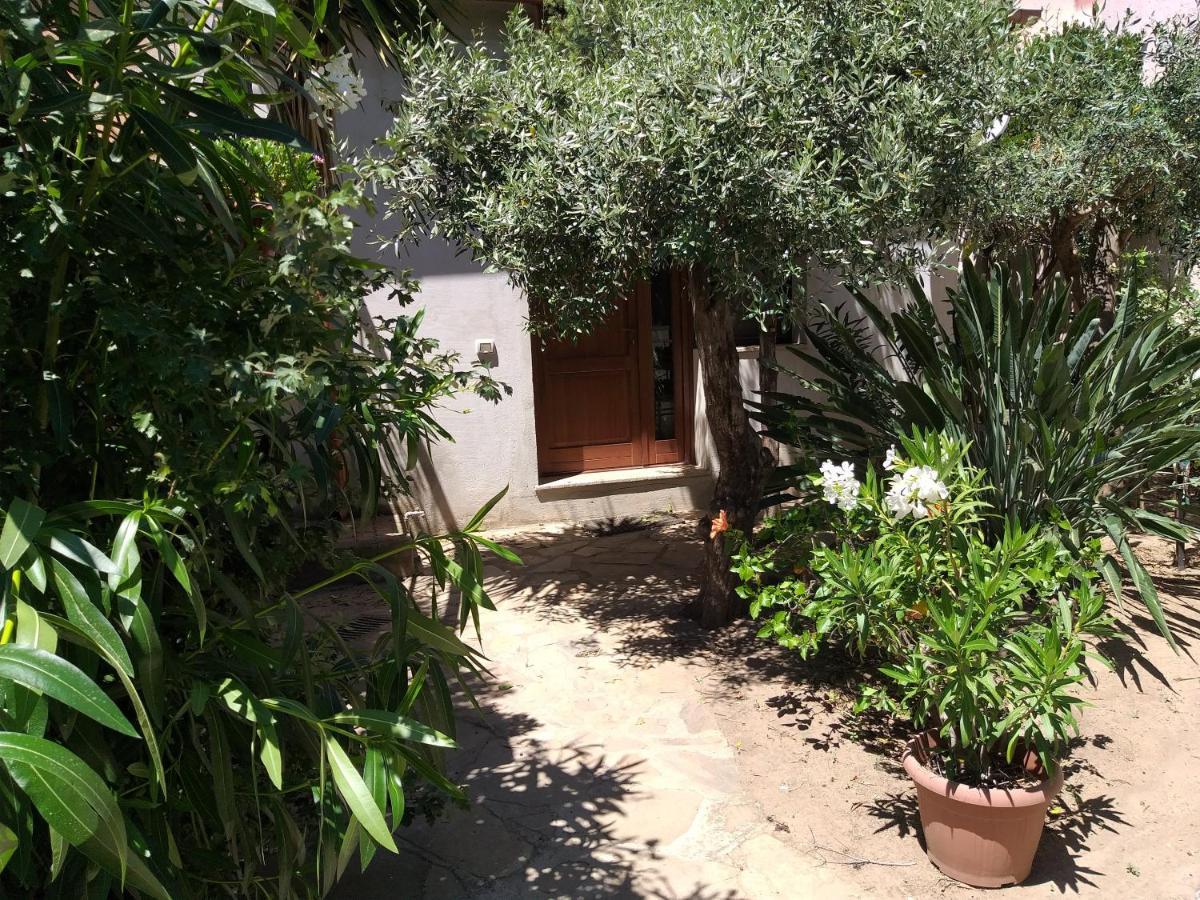 אולביה I Ginepri Guest House מראה חיצוני תמונה